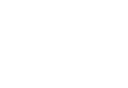 בי״ח ליס